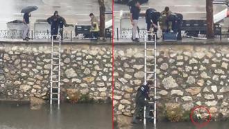Yağmurda dereye sürüklenen yavru kediyi kurtarmak için zamanla yarıştılar