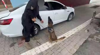 Siirt’te 5 kilo 600 gram skunk ele geçirildi; 4 gözaltı