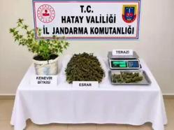 Uyuşturucu satıcısı tutuklandı