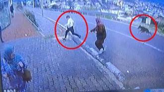 Köpekten kaçarken yüksekten atlayan çocuğun bacağı kırıldı