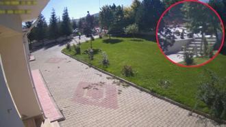 Polisin 'Heimlich' manevrası sürücünün hayatını kurtardı