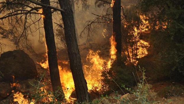 Çanakkale Valiliği'nden orman yangını uyarısı