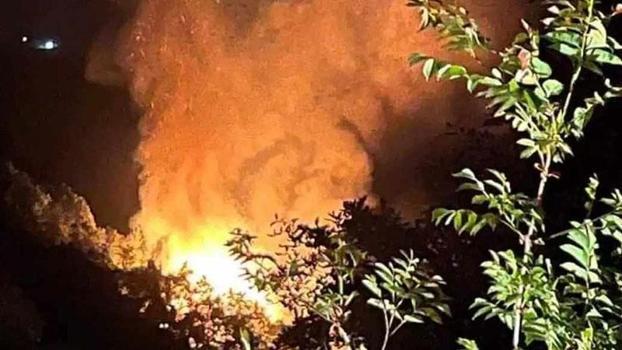 Yalova'da çıkan orman yangını 3 saatte söndüldü: 2 gözaltı