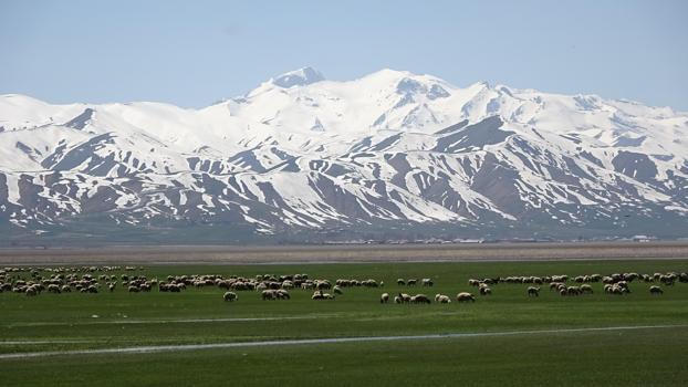 Hakkari'ye İran'dan 6 çoban