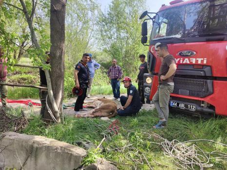 Malatya'da kuyuya düşen inek kurtarıldı