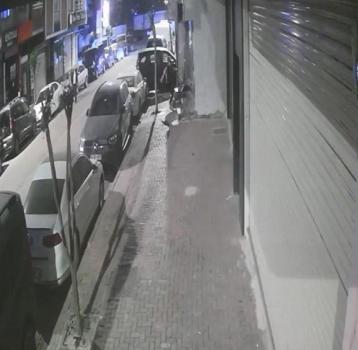 İstanbul - Zeytinburnu'nda Pitbull'un saldırdığı kedi öldü