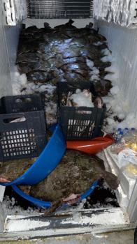 Ukrayna sularında kaçak balık avlayanlara 749 bin TL ceza