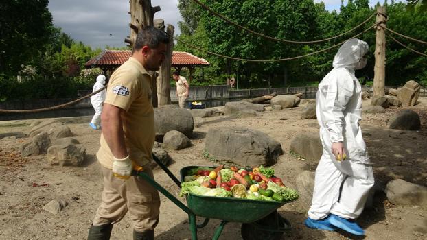 Bulgaristan'dan  Bursa'ya gelen öğrenciler, hayvanat bhçesi'nde incelemelerde bulundu