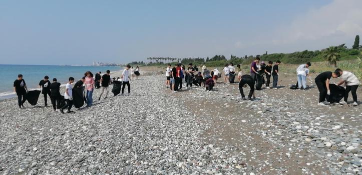 Liseliler, caretta caretta ve yeşil deniz kaplumbağalarının üreme alanlarını temizledi