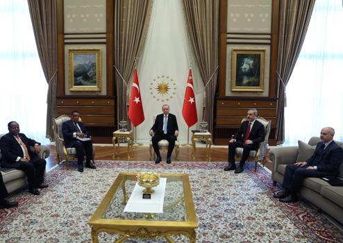 Erdoğan, eski Etiyopya Cumhurbaşkanı Wirtu ve Etiyopya Dışişleri Bakanı Selassie ile görüştü