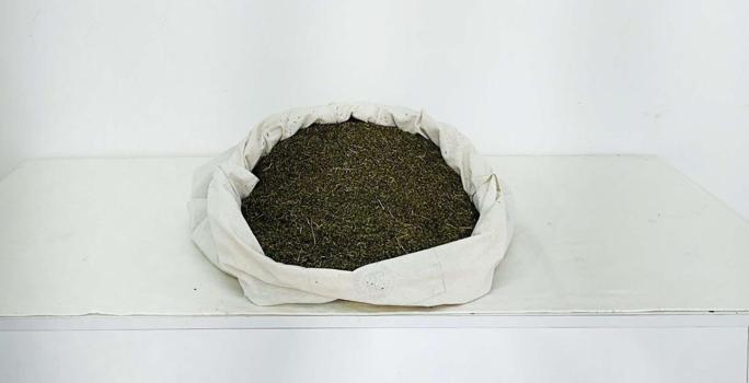 Bingöl’de araziye gizlenmiş 3 kilo 650 gram esrar ele geçirildi
