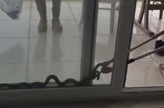 Mersin'de eve giren yılanı itfaiye çıkardı