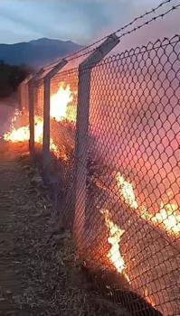 Ödemiş'te çıkan orman yangını söndürüldü