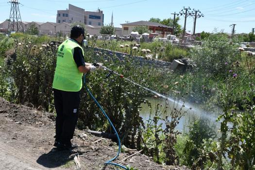 Balıkesir Büyükşehir Belediyesi, haşereyle mücadeleyi sürdürüyor