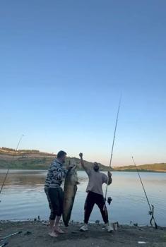 Baraj gölünde 24 kiloluk yayın balığı yakaladılar