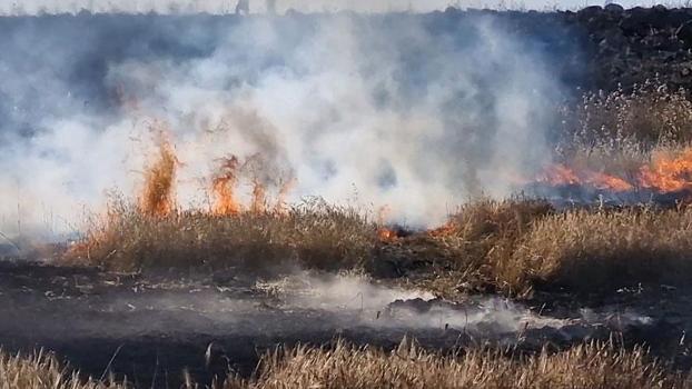 Diyarbakır’da 400 dönüm buğday, mercimek ve arpa ekili tarla yandı