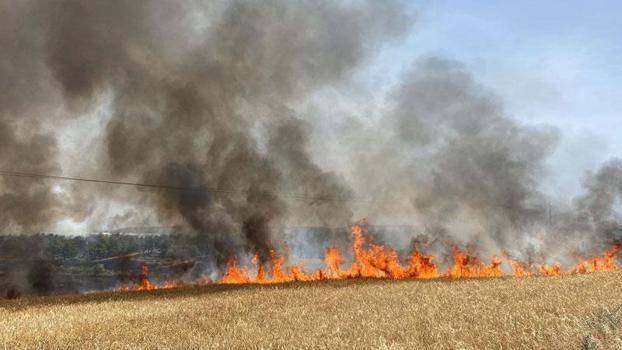 Çanakkale'de anız yangını, tarım arazisi ve ormana sıçradı