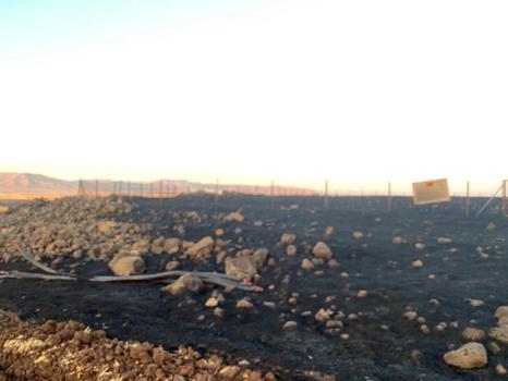 Mardin'de 9 ayrı noktada çıkan yangınlarda 800 dönüm buğday ekili arazi zarar gördü