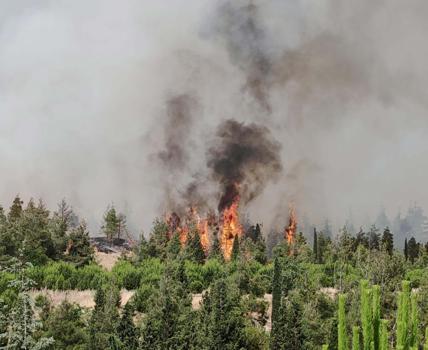 DENİZLİ'de orman yangını (VİDEO EKLENDİ)