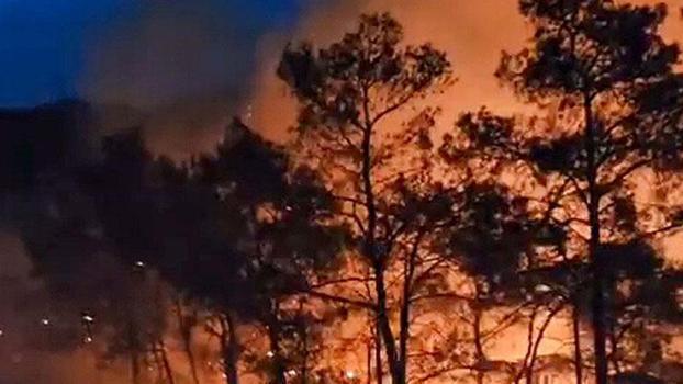 Marmaris’te orman yangını: 1 hektar alan zarar gördü