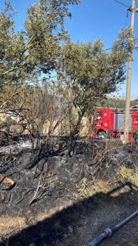 Manisa'da otlukta çıkan yangın, park halindeki otomobile de sıçradı