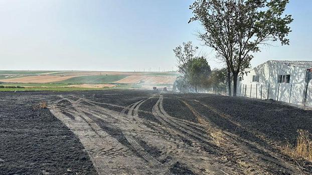 Tekirdağ'da 20 dönüm ekili buğday, yangında zarar gördü