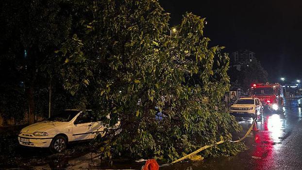 Kayseri'de şiddetli rüzgar; ağaçlar devrildi, çatılar uçtu: 1 yaralı