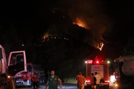 Denizli'de orman yangını (3)