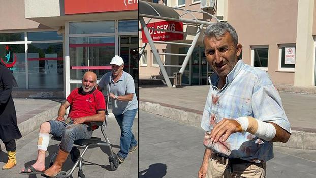Nevşehir'de acemi kasaplar hastaneye koştu