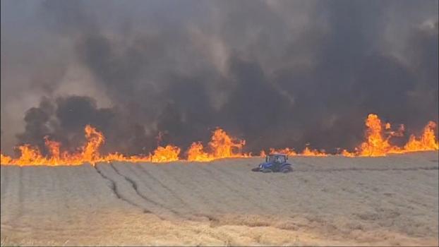 Diyarbakır'da 100 dönüm buğday ekili arazi yandı