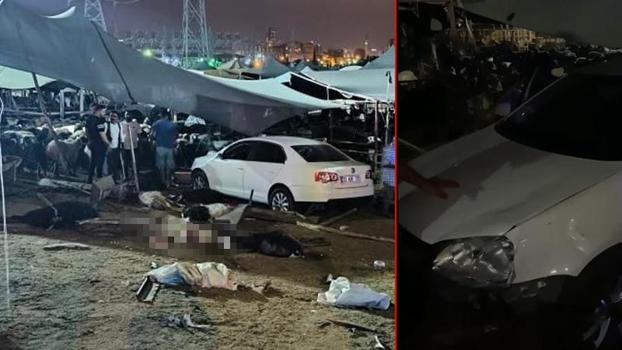 Mersin'de otomobil hayvan pazarına girdi: 2'si ağır 8 yaralı, 7 kurbanlık öldü