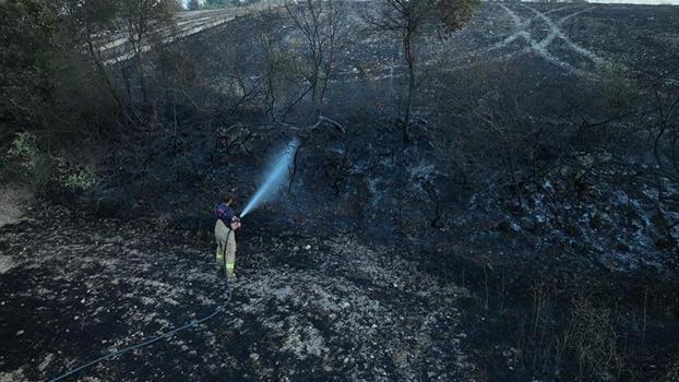 Balıkesir'deki yangında 20 hektar tarım arazisi ile 60 hektar orman zarar gördü