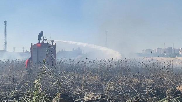 Diyarbakır’da 1,5 ayda, 5 bin 146 dönüm ekili buğday ve arpa yandı