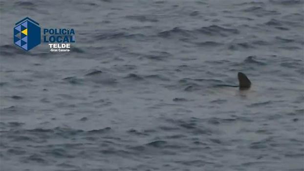 İspanya’da köpek balığı paniği: Plaj kapatıldı