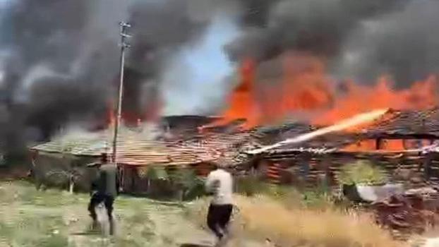Ankara'da ahır yangını; 12 büyükbaş öldü