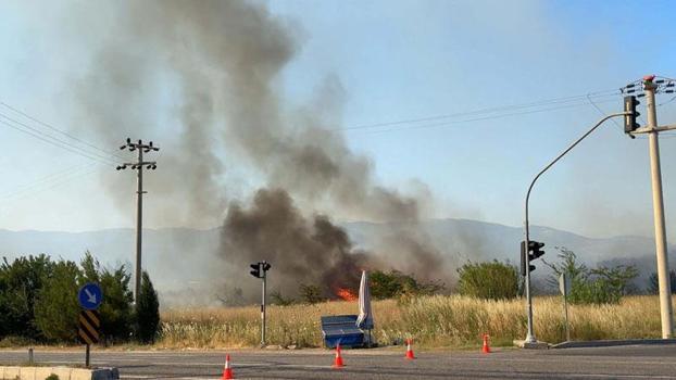 İzmir'de zeytinlik yangını