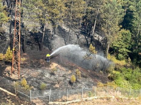 İstanbul- (özel) Çekmeköy'de ormanlık alanda çıkan yangın söndürüldü
