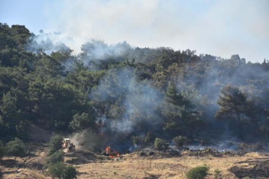 İzmir'de orman yangını; 2 mahalle boşaltıldı/ Ek Fotoğraflar