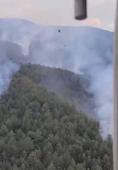 Karabük'te ormana yıldırım düştü, yangın çıktı (3)
