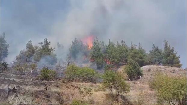 Amasya'da orman yangını