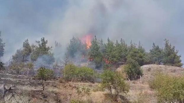 Amasya'da orman yangını