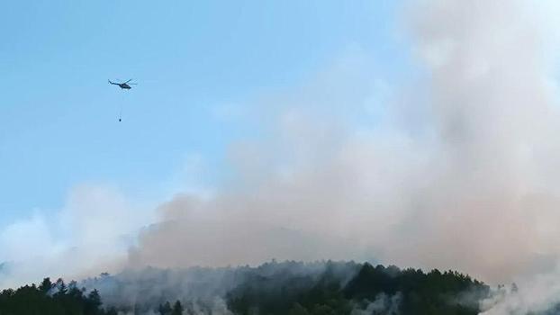 Kastamonu'da orman yangını kontrol altına alındı; 20 hektar alan zarar gördü