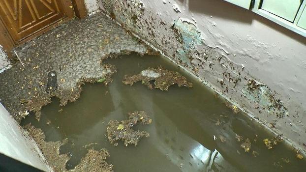 Kadıköy'de sağanak yağmur nedeniyle bazı evleri su bastı