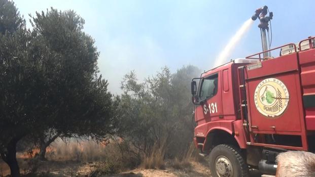 Manavgat'ta çöplükte başlayan yangın, tarım arazilerine zarar verdi