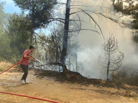İzmir'de orman yangını/ Ek fotoğraflar