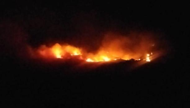 Tunceli'de çıkan örtü yangını 2 saatte söndürüldü