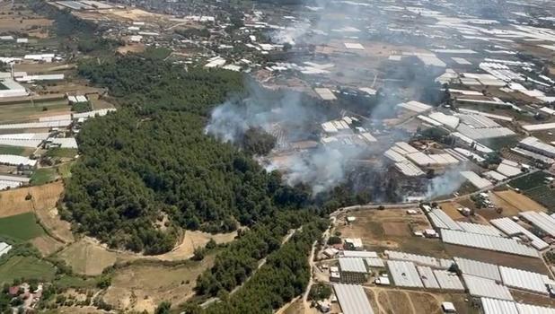 Antalya'da orman yangını (3)