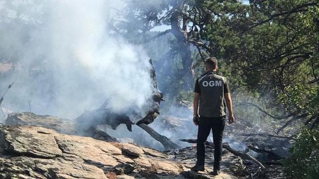 Bolu'da yıldırım düşen ormanda yangın çıktı