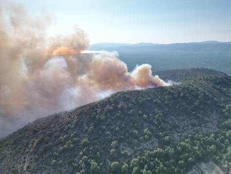 İznik'te orman yangını / Ek fotoğraflar