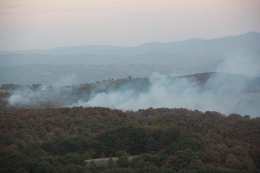 Kocaeli'de orman ve maki yangını 3 saatte söndürüldü